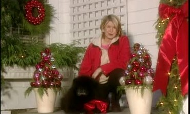 video magazine christmas trees martha stewart video magazine christmas trees martha stewart