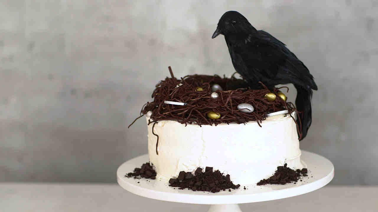 bird eating cake