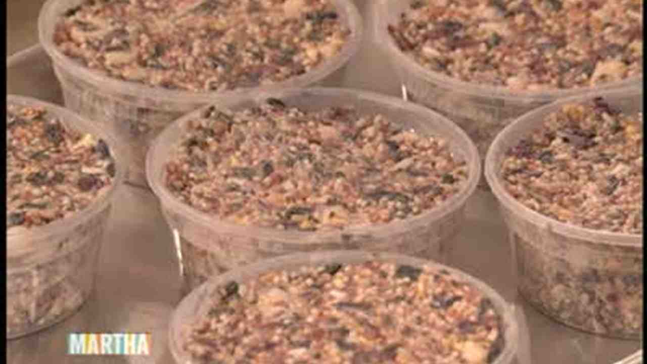 Video Homemade Suet Cakes For Birds Martha Stewart
