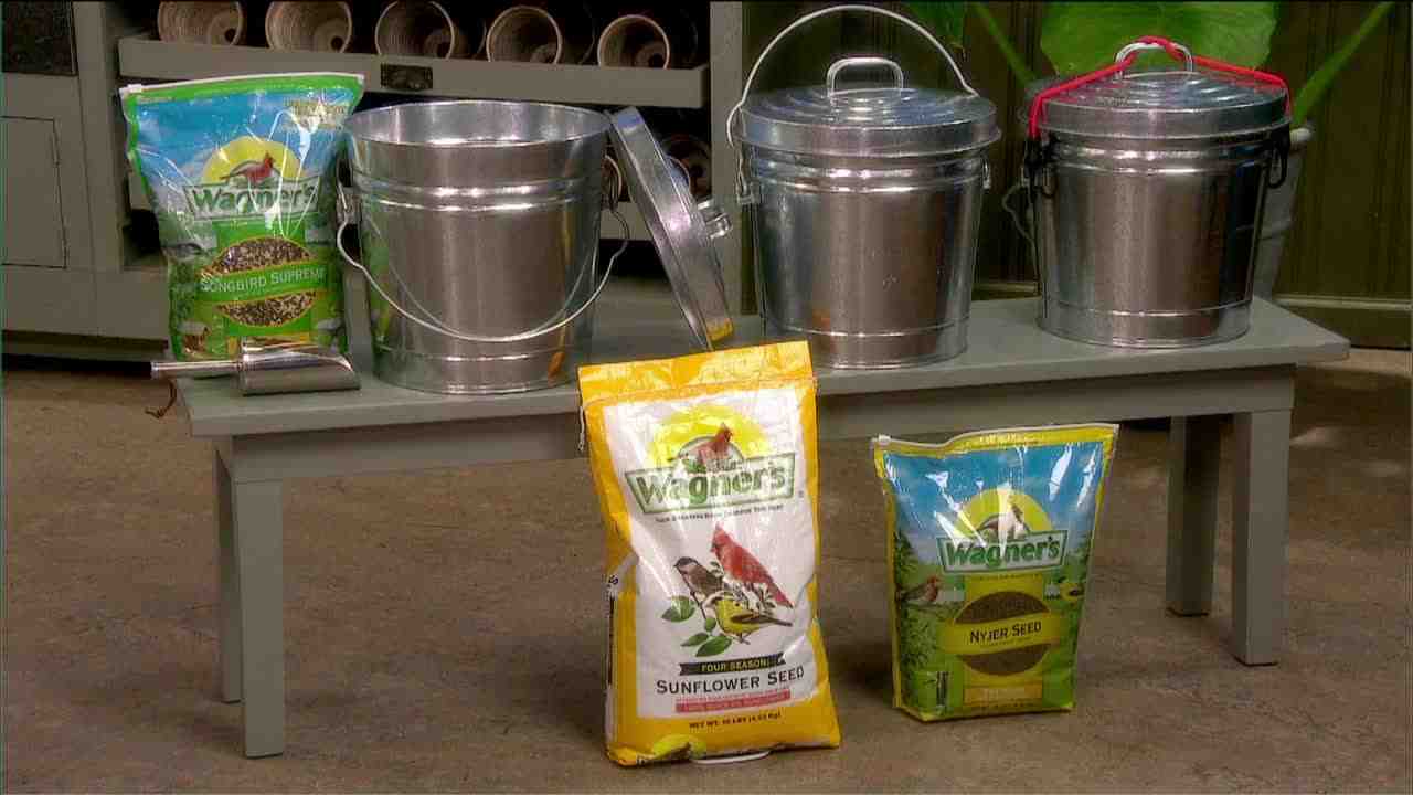 Video How To Set Up Your Bird Feeder Martha Stewart