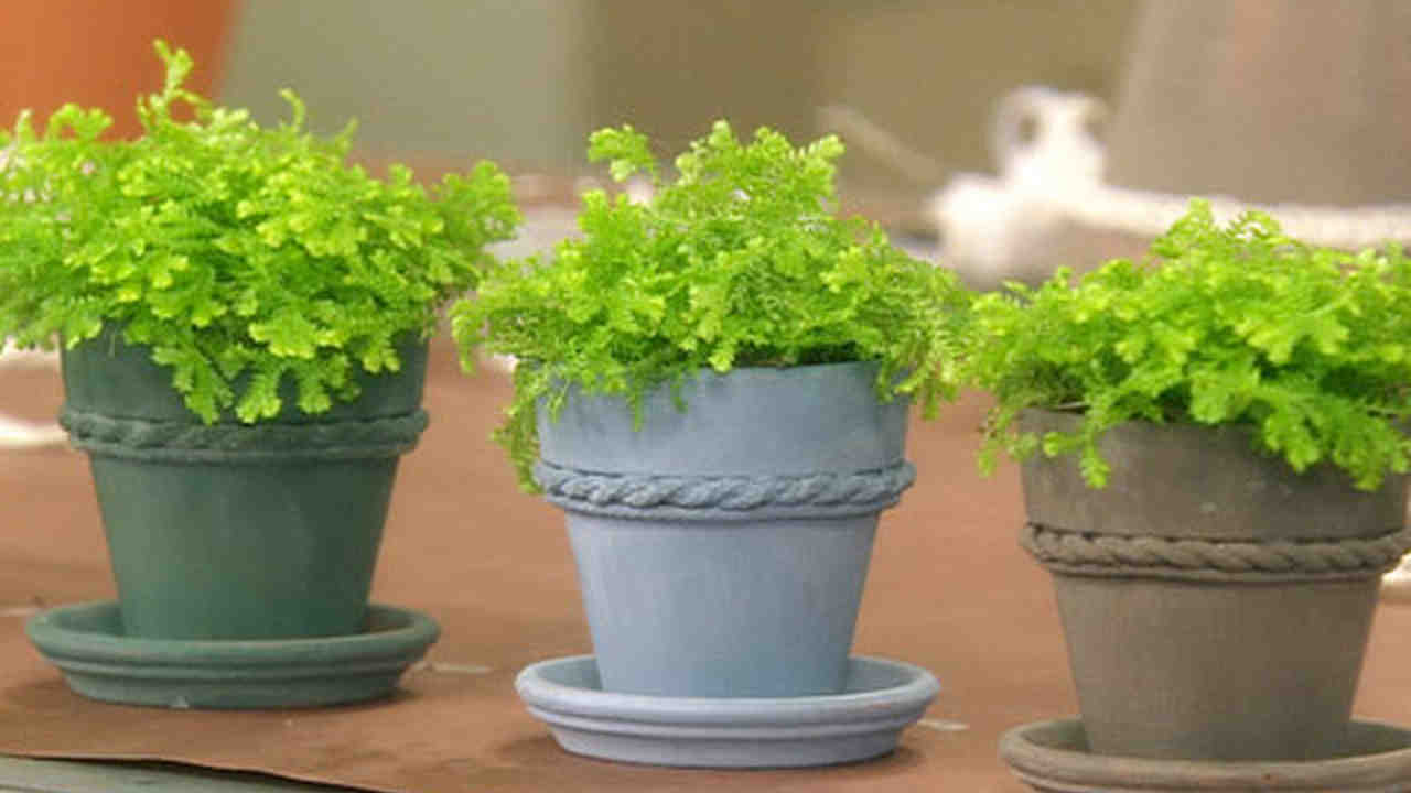 Video Milk Paint Terra Cotta Pots Martha Stewart