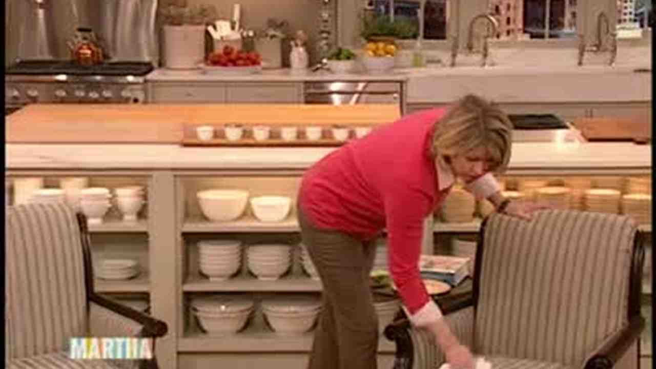 Video Good Thing How To Clean Pet Hair Off Furniture Martha