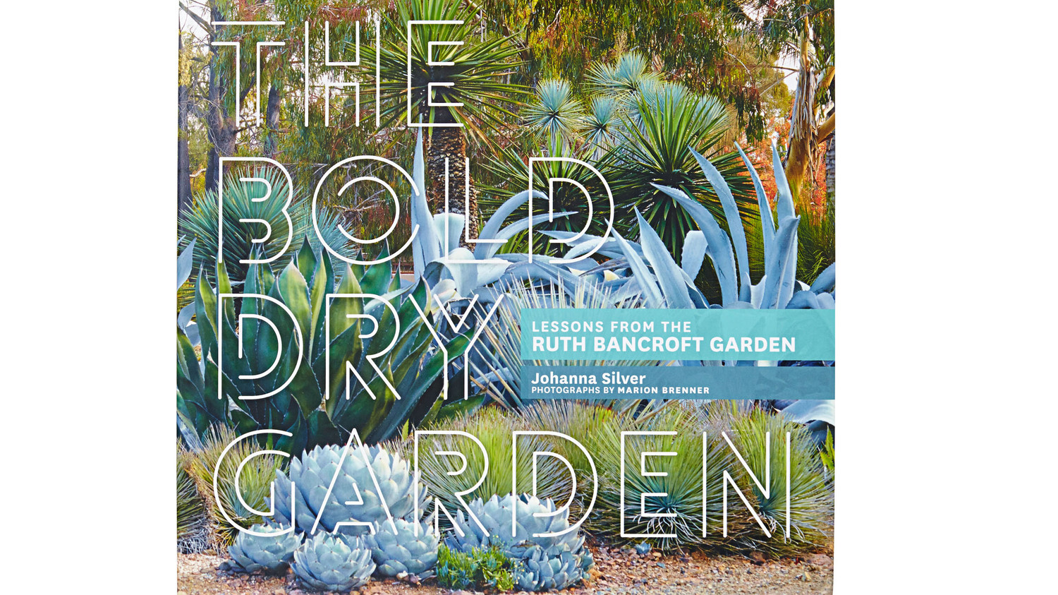 The Bold Dry Garden Inside One of the Most Spectacular Succulent