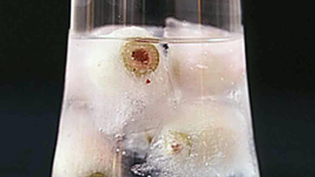 Video Eyeball Ice Cubes Martha Stewart