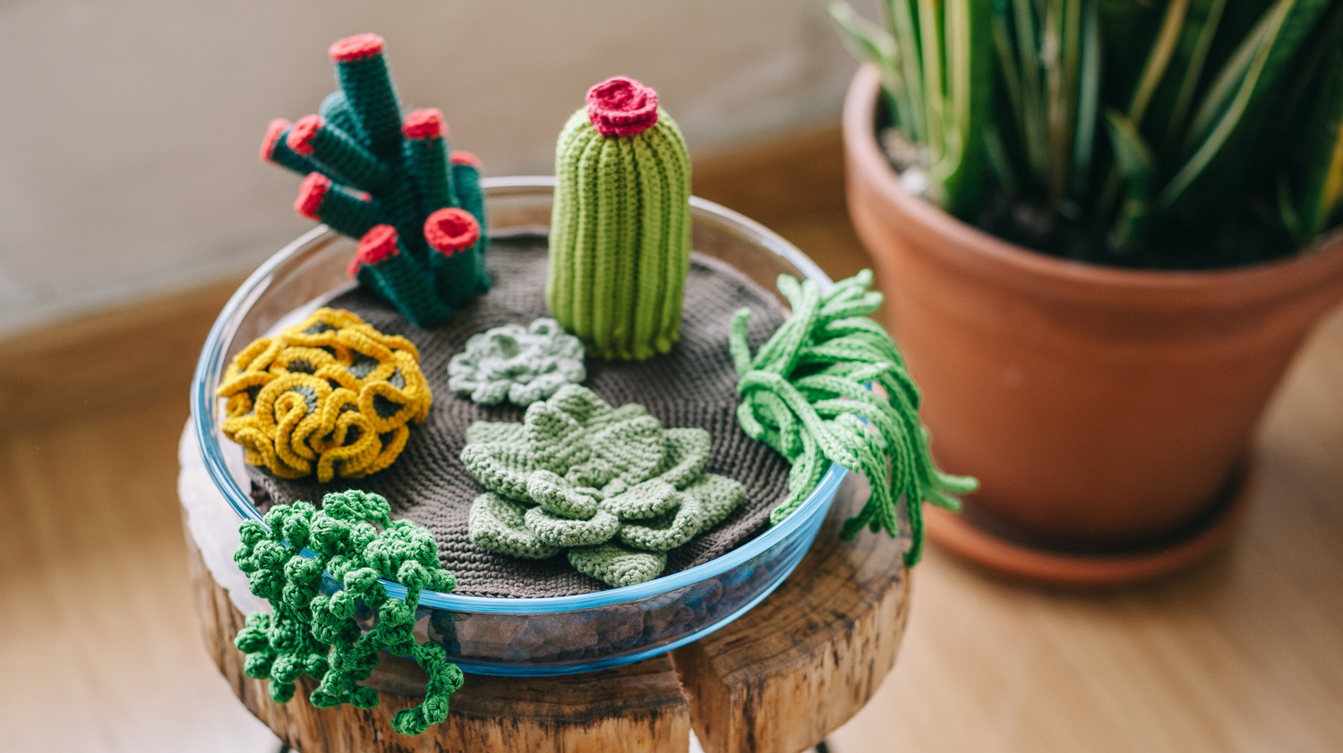 How to Crochet a Terrarium (Including 7 Different Succulents)