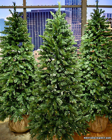 christmas tree glossary martha stewart christmas tree glossary martha stewart