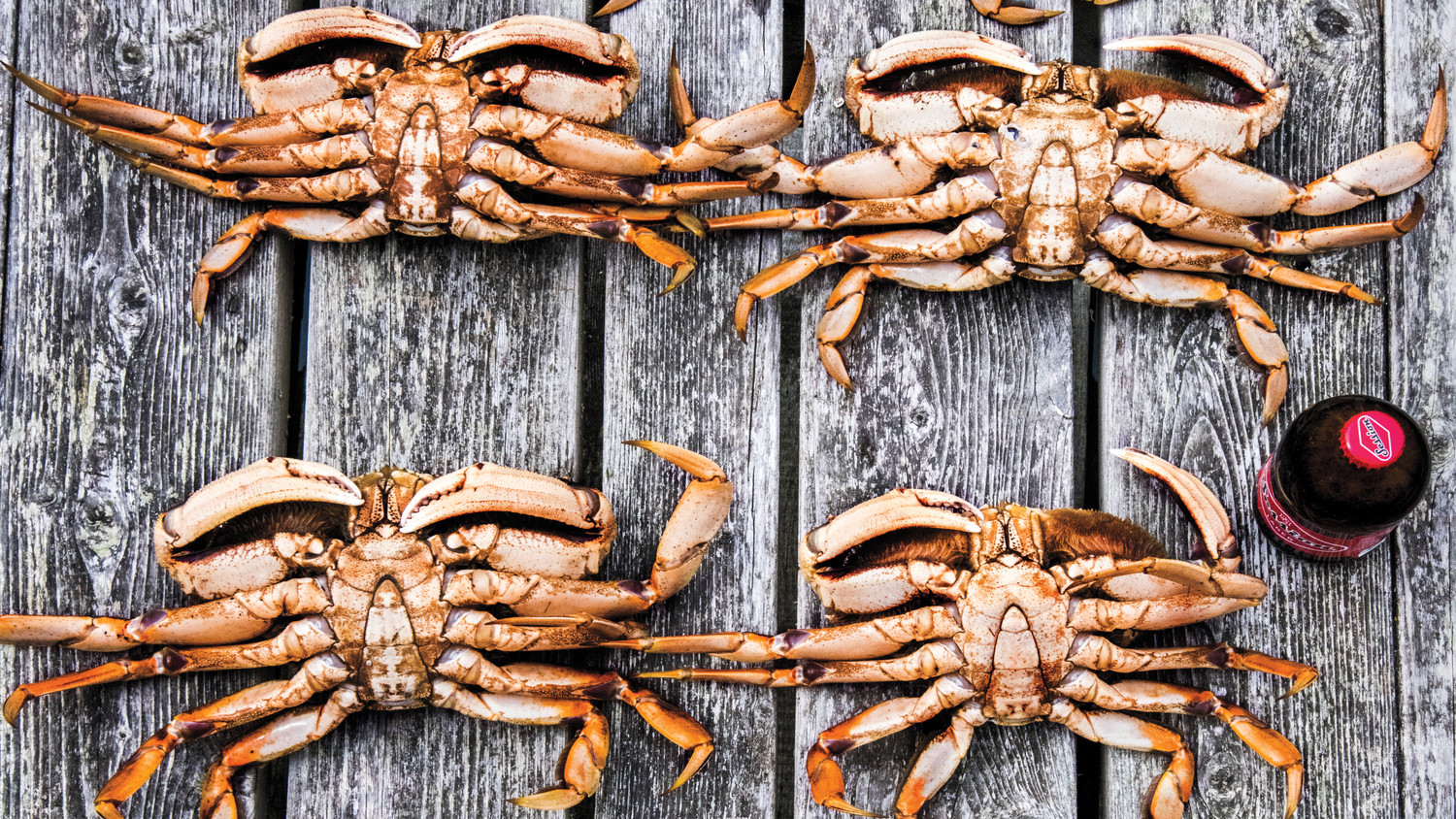 Crab Recipes Martha Stewart