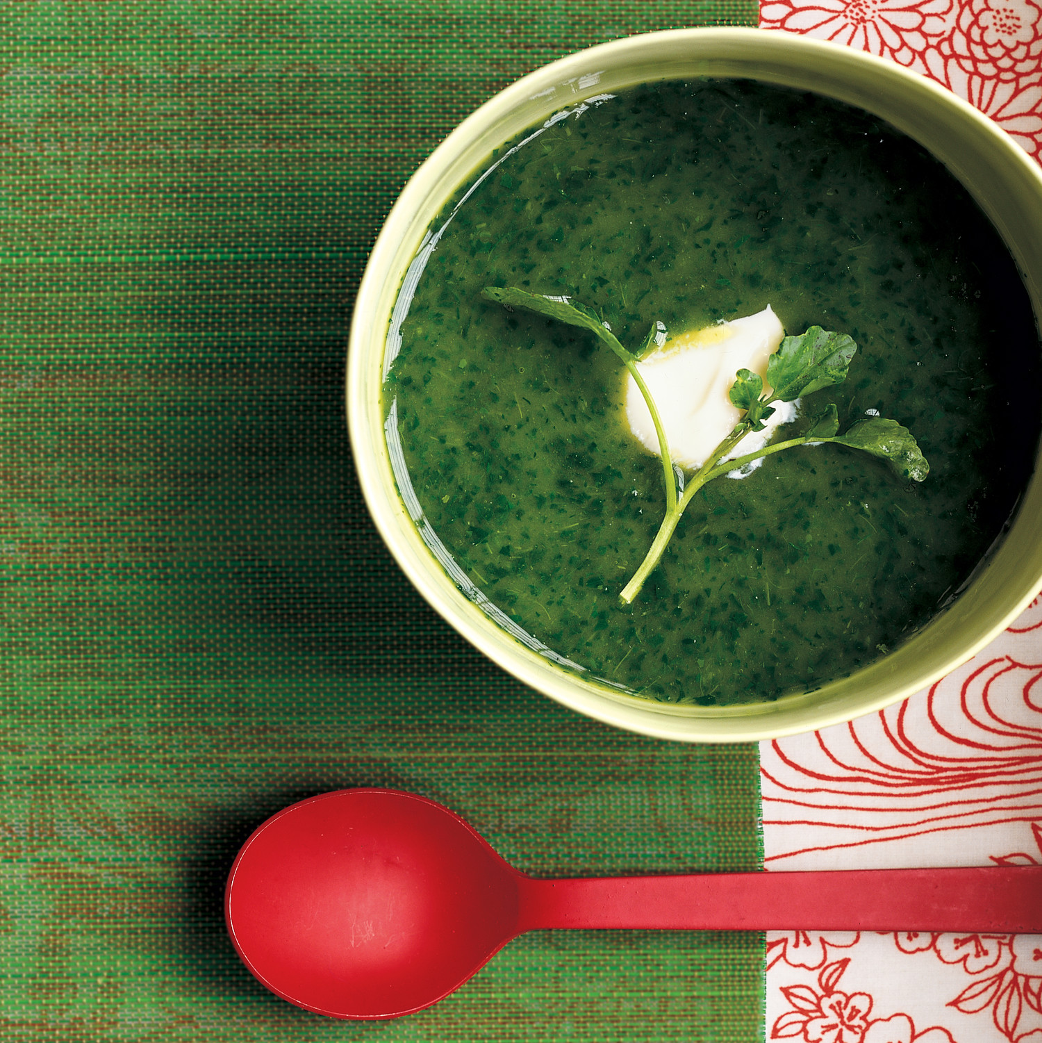 Watercress and Leek Soup
