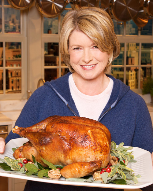 TurboChef Roast Turkey Recipe & Video Martha Stewart