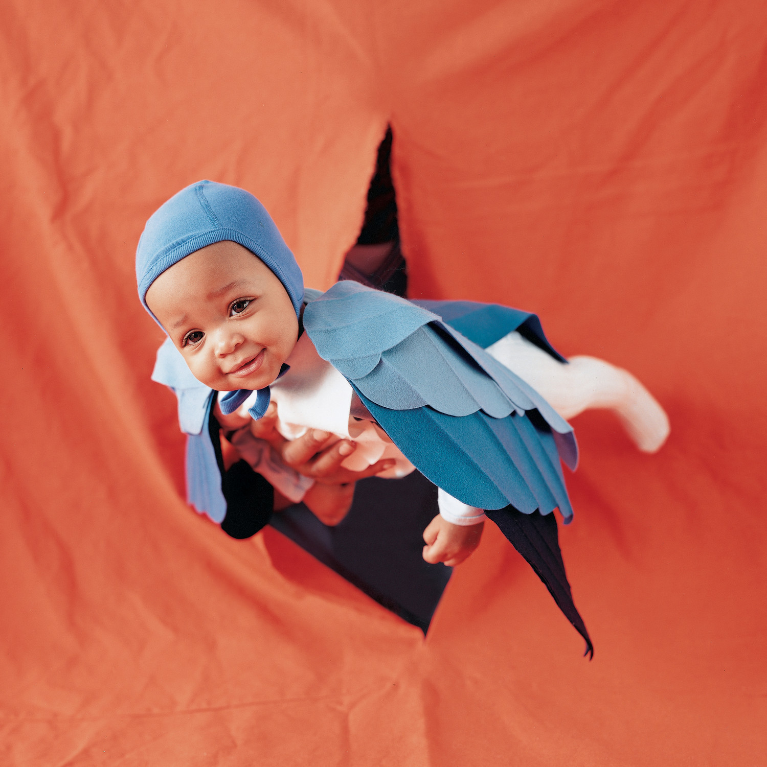 Bluebird Halloween Costume Martha Stewart