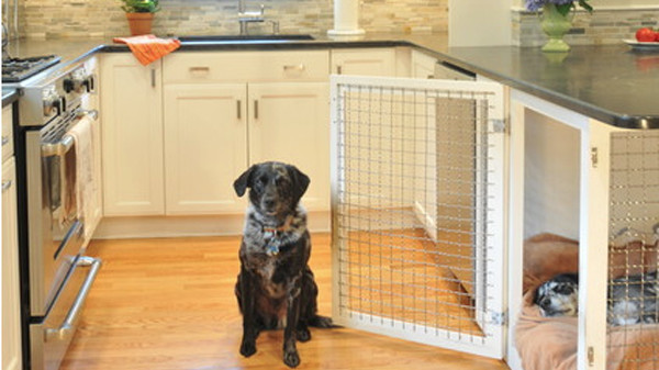 12 Indoor Dog Houses That We Think are Pawsitively Genius