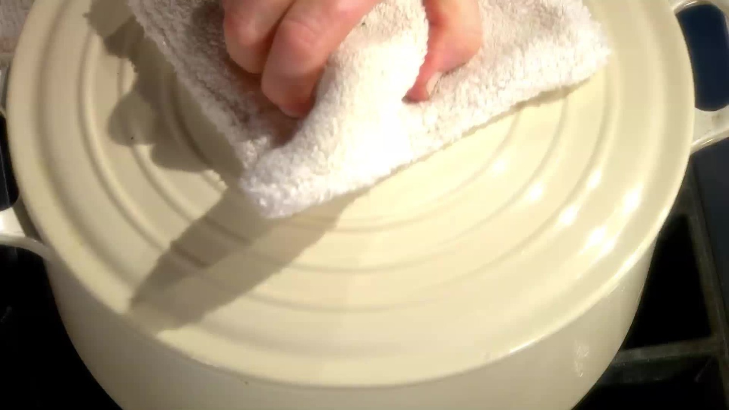 Video Skimming the Fat from Stew Martha Stewart