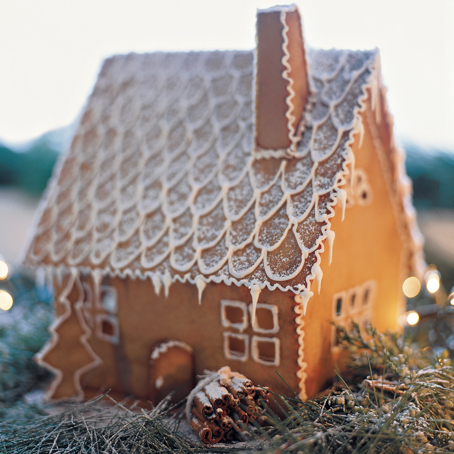 swedish gingerbread house recipe martha stewart christmas cookies recipes pinterest
