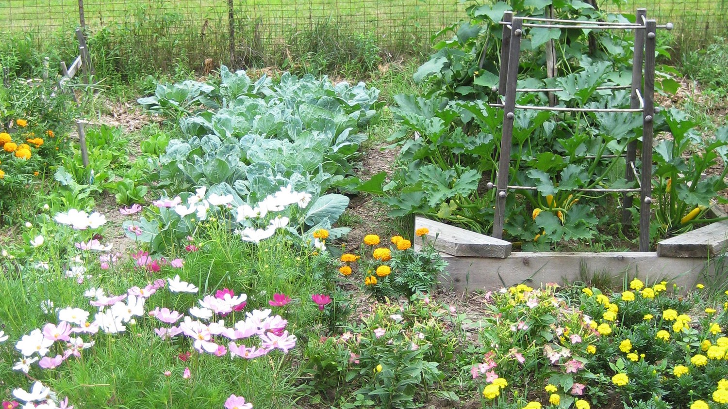 organic-gardening-101-how-to-start-a-garden-and-keep-it-healthy