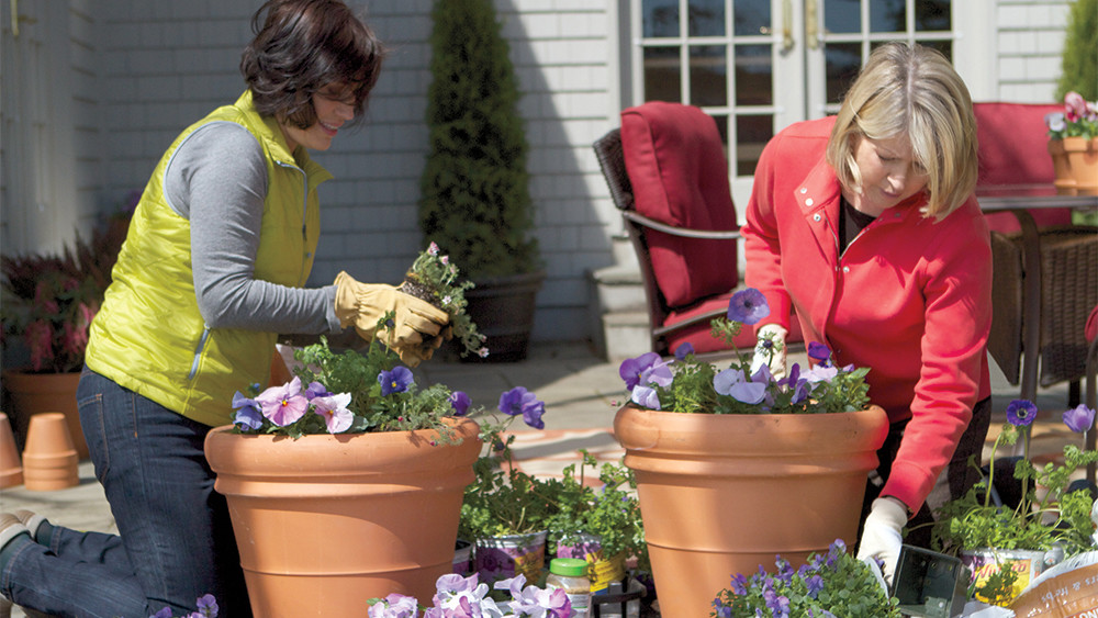 Video: Ask Martha: Container Gardening | Martha Stewart