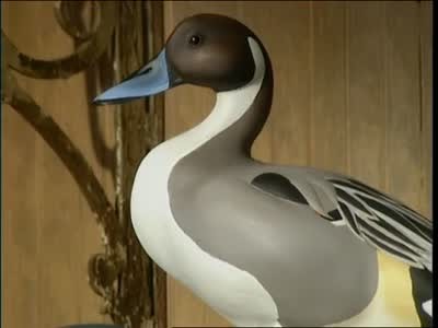 Video: How to Paint Carved Duck Decoys | Martha Stewart