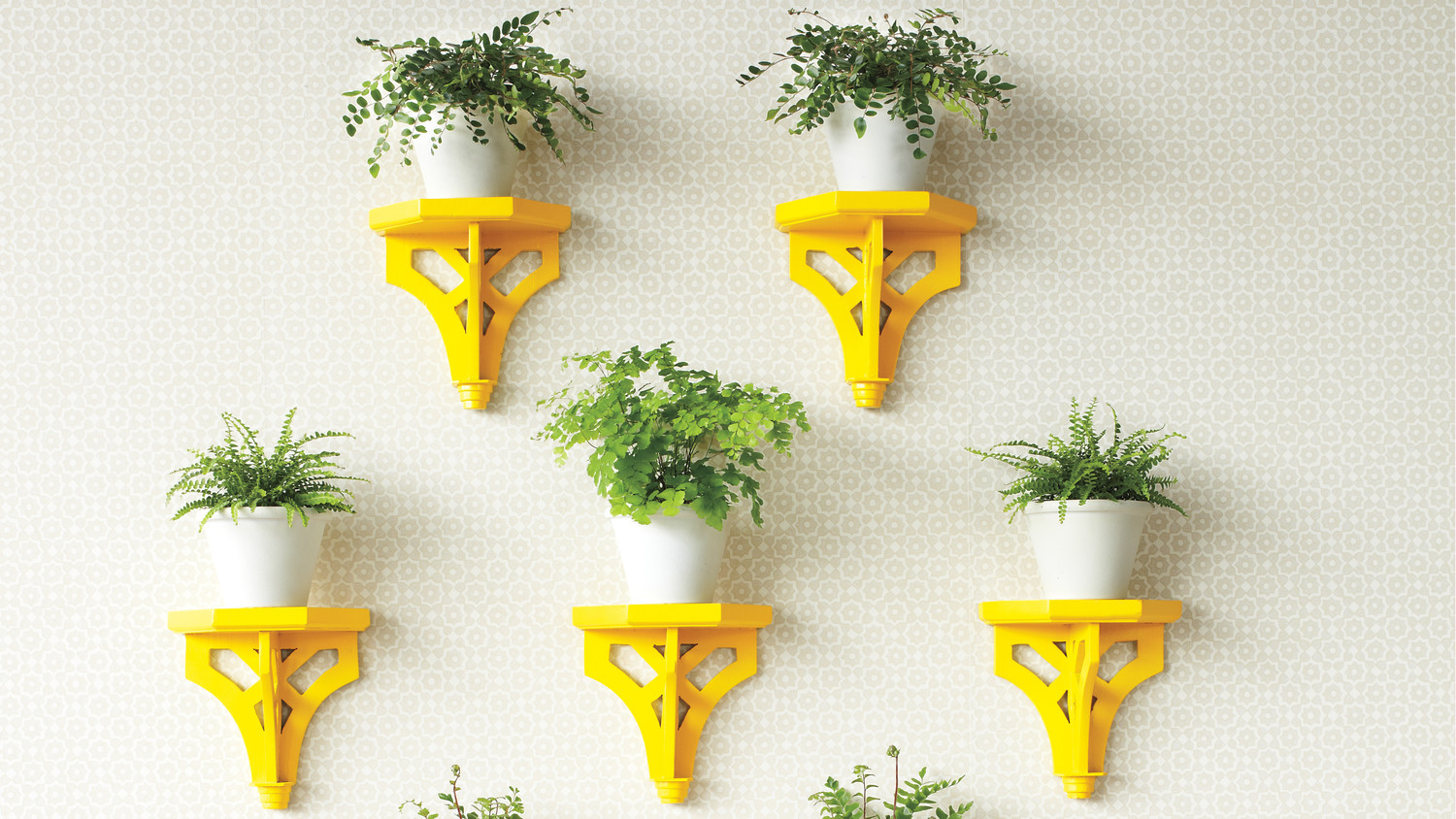 Indoor Flower Brackets Martha Stewart