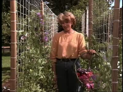 Video: How To Build a Trellis for Sweet Peas | Martha Stewart
