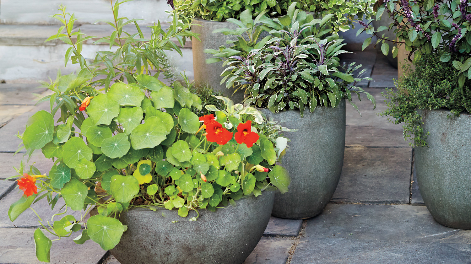 4 Steps To A Container Kitchen Garden | Martha Stewart