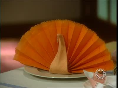 Video Ideas For Folding Napkins For Thanksgiving Tables