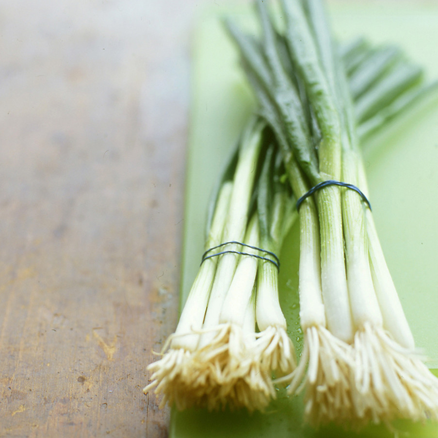 Ramp, Scallion, and Spring Onion Recipes Martha Stewart