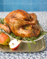 38 Terrific Thanksgiving Turkey Recipes | Martha Stewart