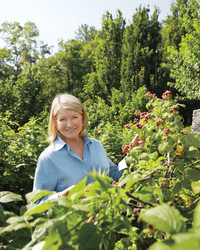 Martha's Berry Glossary: Get To Know Her Favorite Varieties | Martha ...