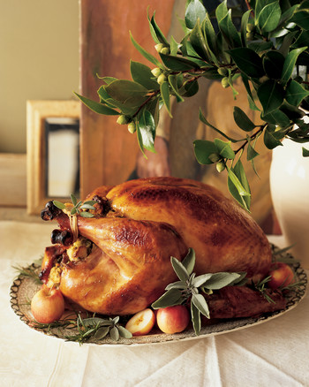 Brined And Roasted Turkey 101 Recipe | Martha Stewart