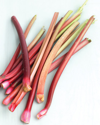 med104078_0509_rhubarb.jpg