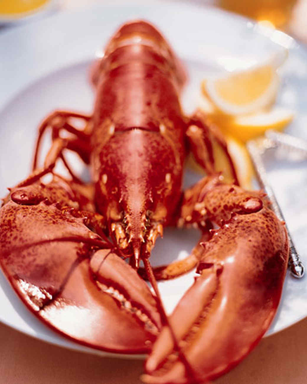 Lobster Recipes | Martha Stewart