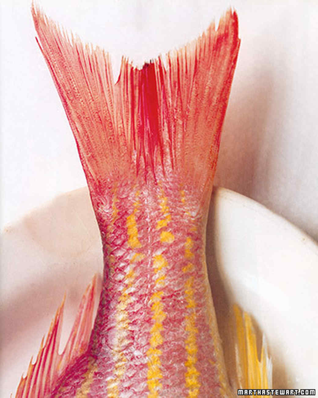 Trout Recipes Martha Stewart