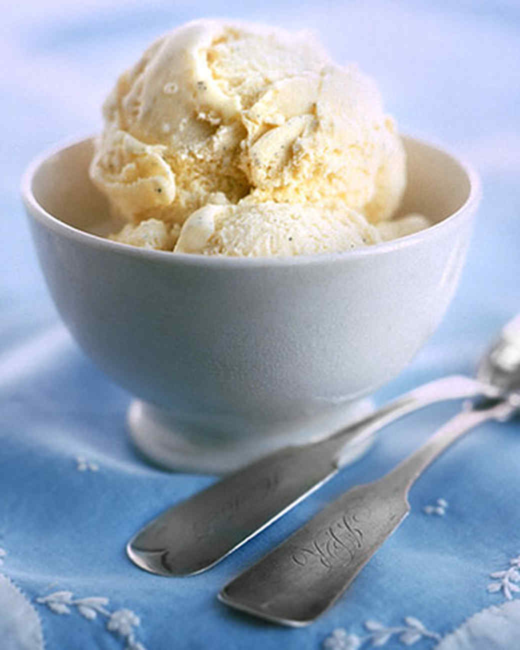 vanilla ice cream vanilla ice cream