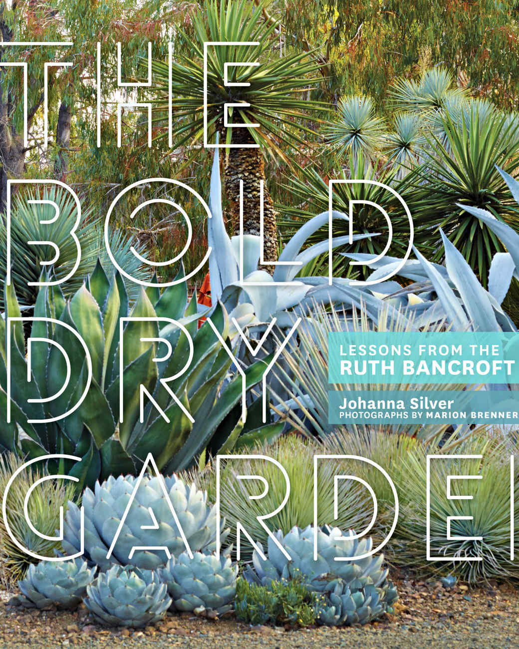 The Bold Dry Garden Inside One of the Most Spectacular Succulent
