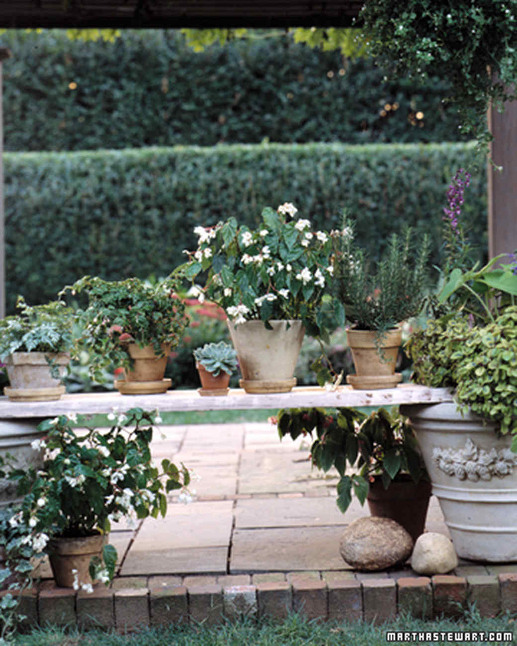 60 Great Ideas for the Garden Martha Stewart