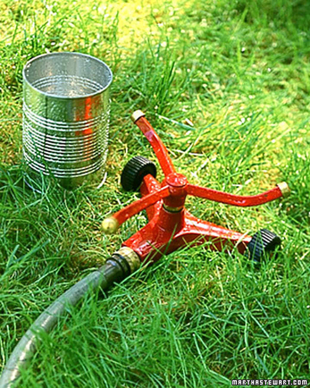 Martha's Vegetable Garden Tips | Martha Stewart