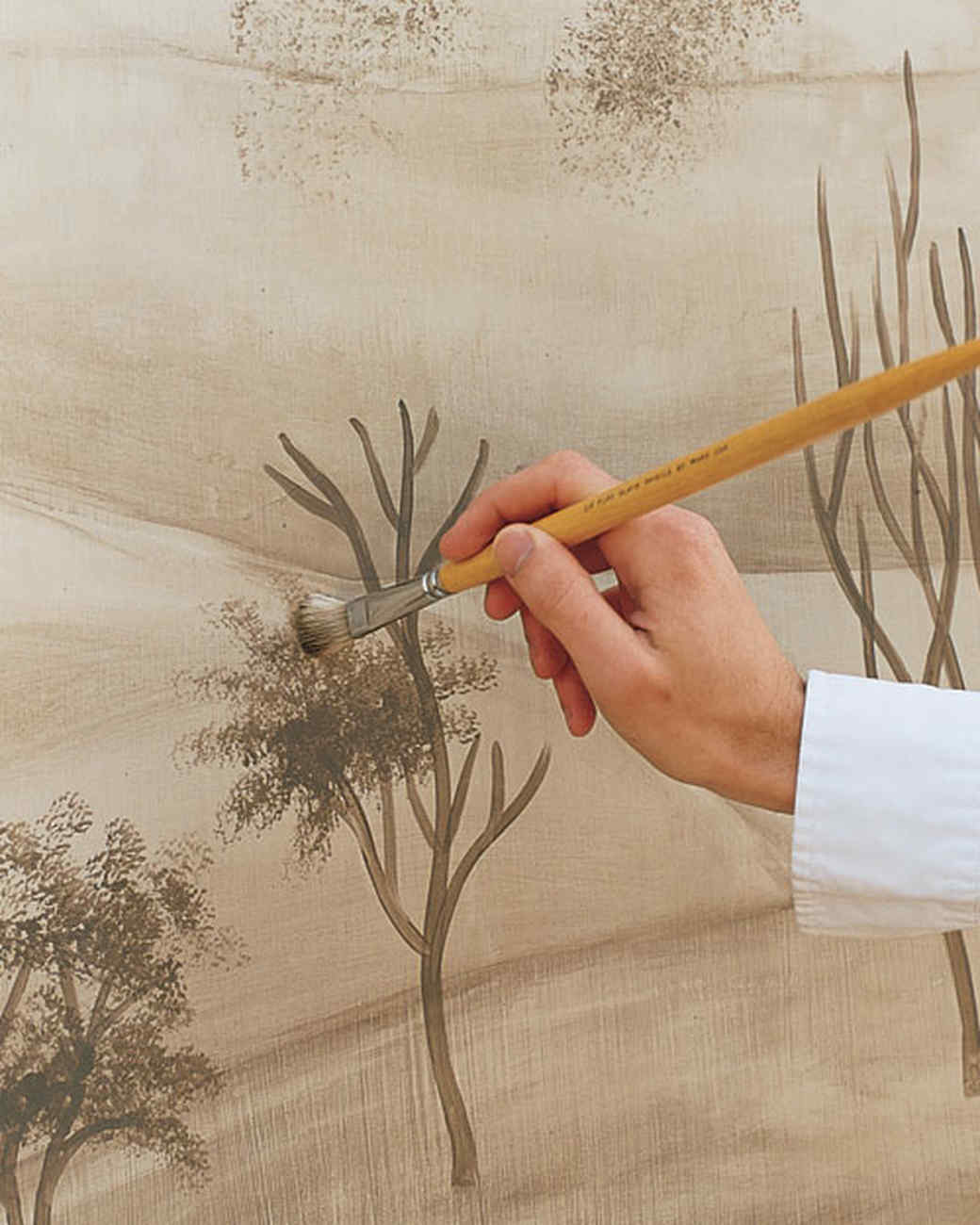 Make Your Own Murals & Video Martha Stewart