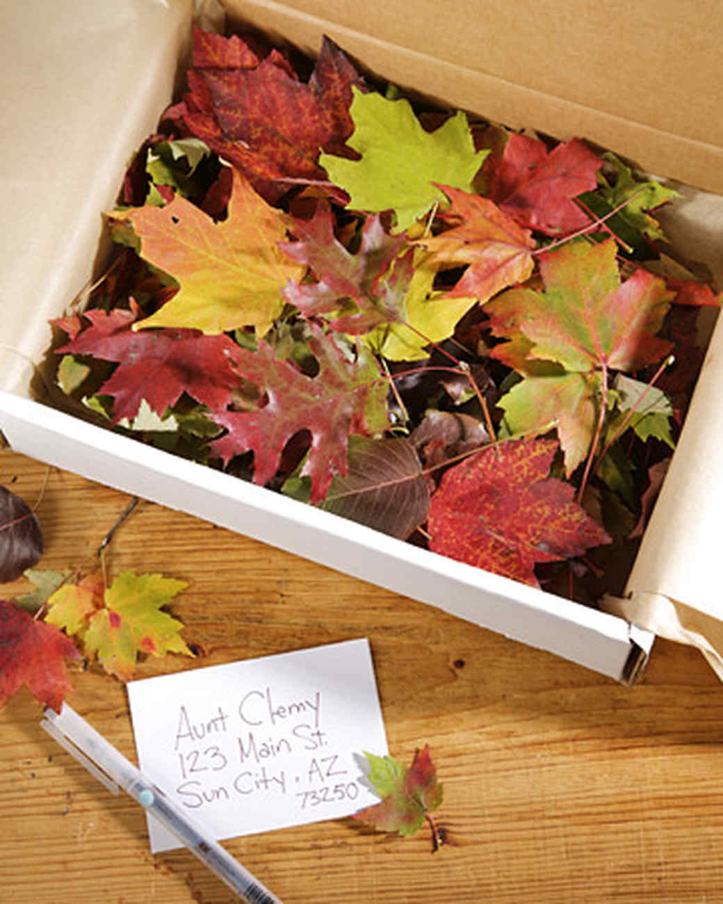 Glittered Leaves in a Box Martha Stewart