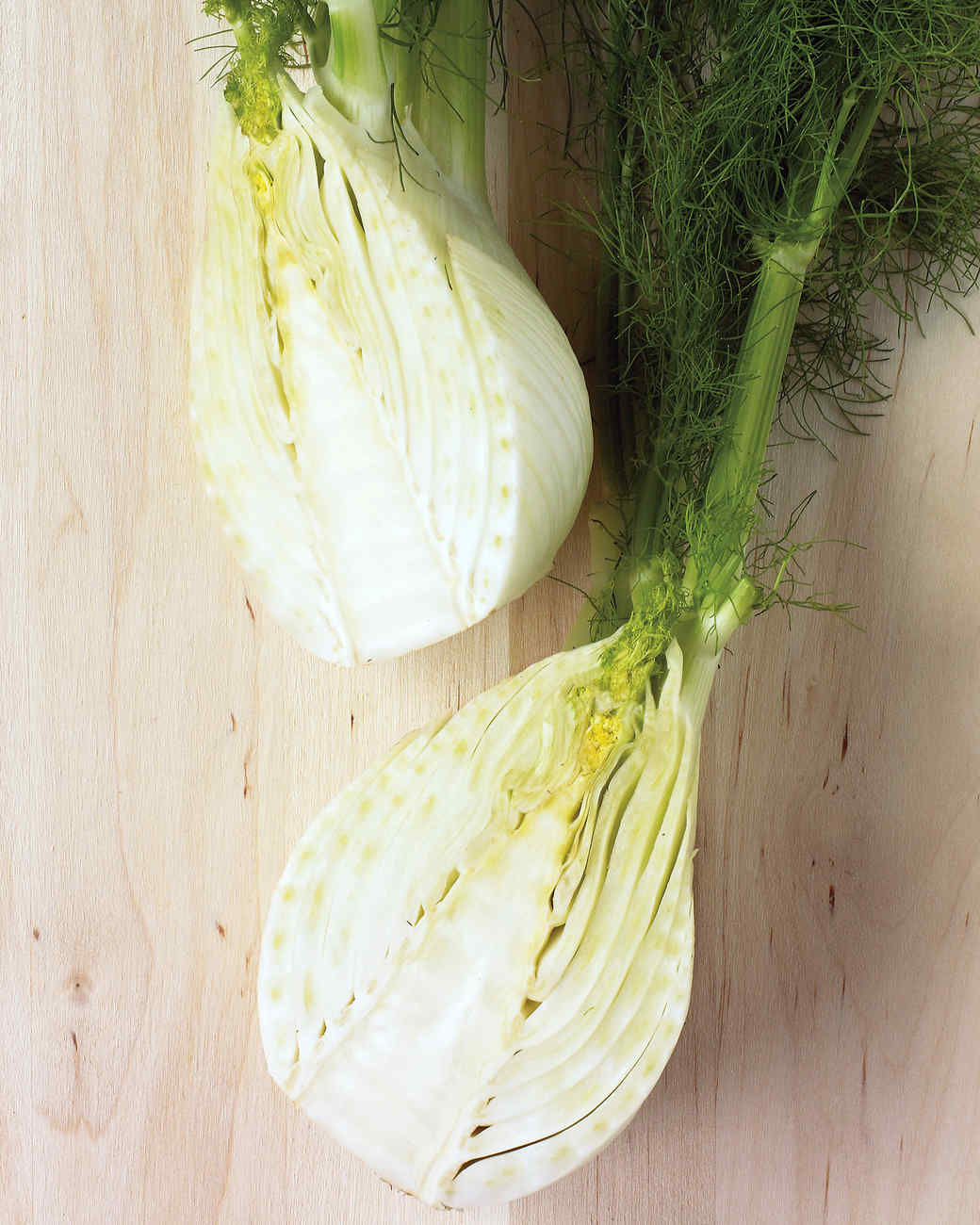 Roasted Tomato and Fennel Sauce Recipe Martha Stewart