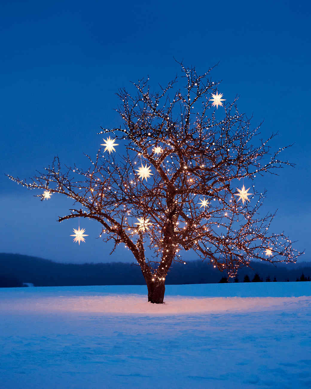 Christmas Star Decorations Martha Stewart easy-christmas-star-decorations-ideas-artofit