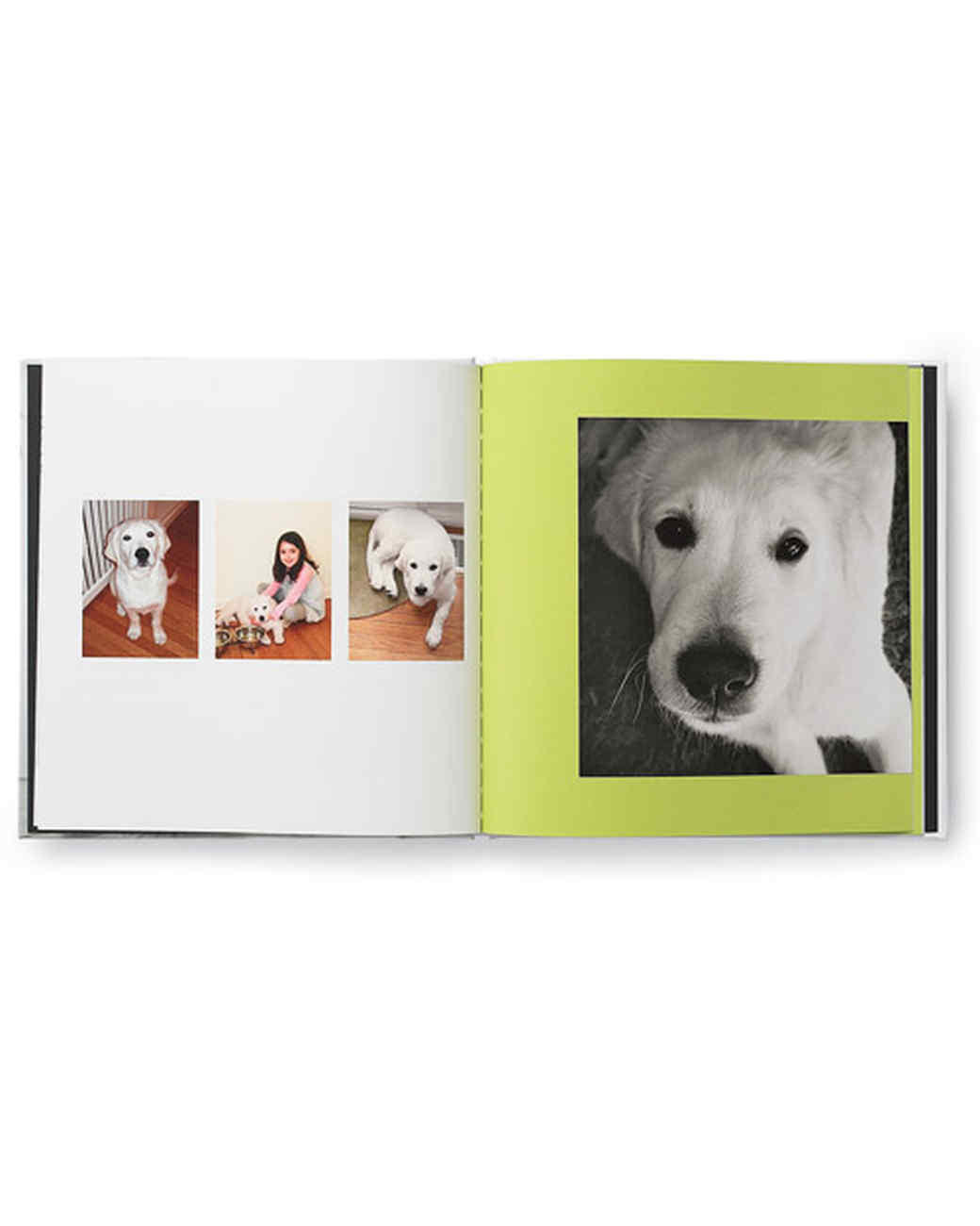 DIY Digital Photo Albums Martha Stewart