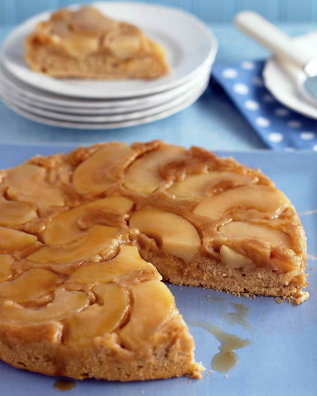 One Pan Apple Pecan Coffee Cake One Pan Apple Pecan Coffee Cake