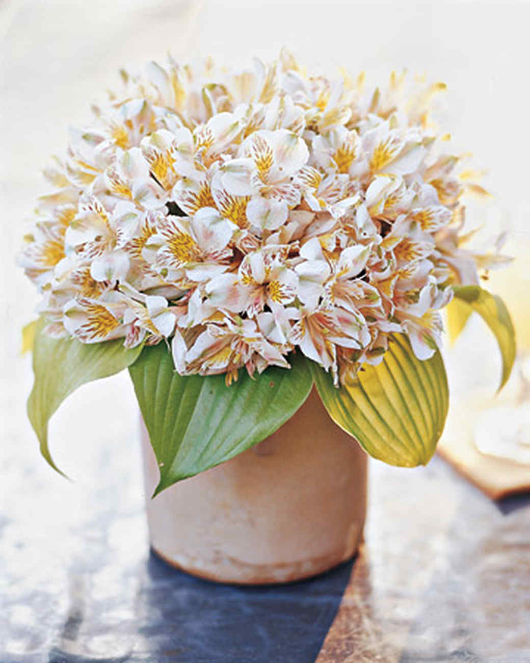 How To Make Flower Arrangements martha's flower-arranging secrets | martha stewart How To Make Flower Arrangements martha's flower-arranging secrets | martha stewart
