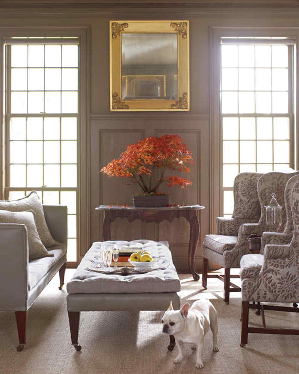 martha's home: decorating with houseplants | martha stewart martha's home: decorating with houseplants | martha stewart
