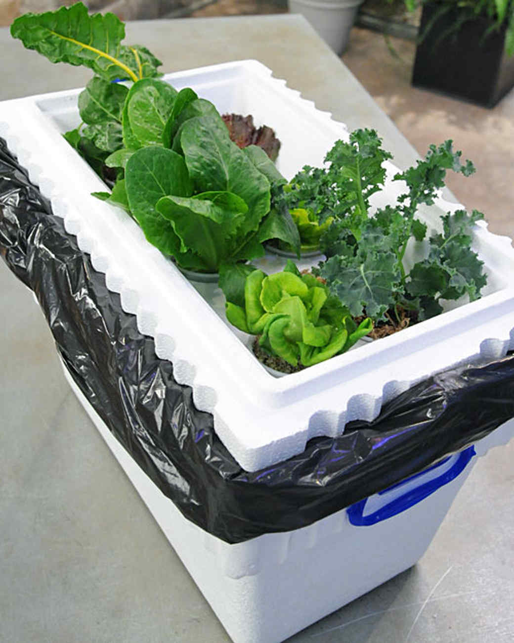 download free hydroponics gardening