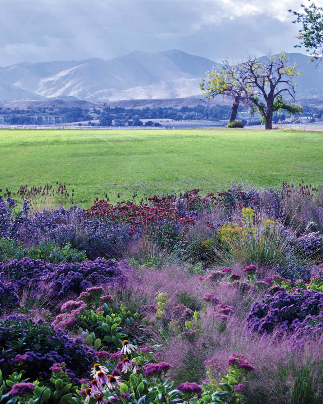 A Majestic Meadow in the Colorado Rockies Martha Stewart