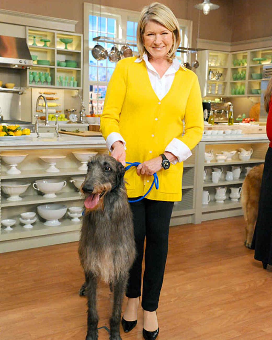 Westminster Dog Show Best In Show Westminster Dog Show Best In Show