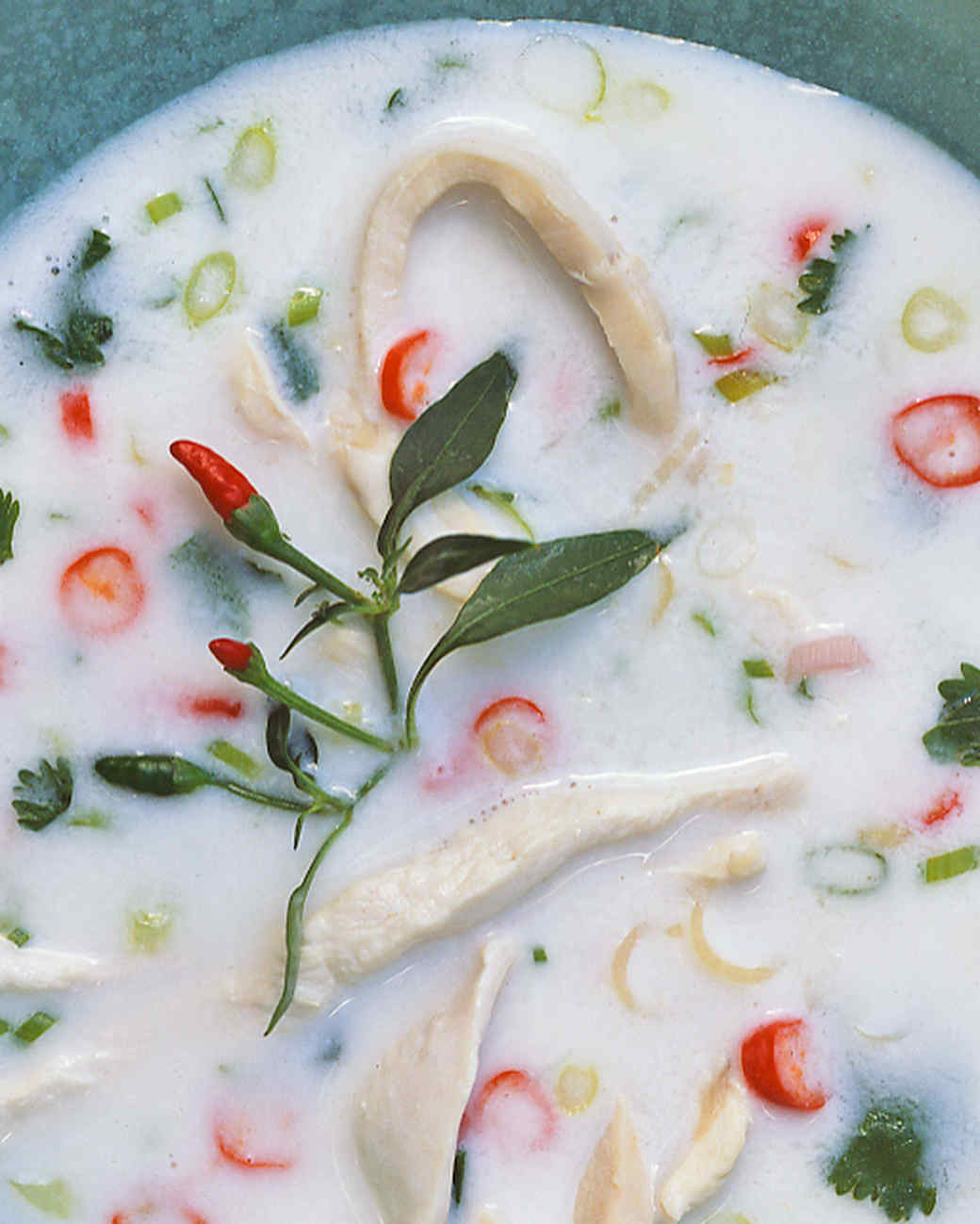 Chicken and Coconut Milk Soup Recipe & Video Martha Stewart