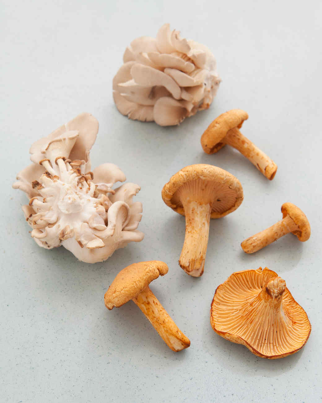 Chanterelle and Oyster Mushroom Recipes Martha Stewart