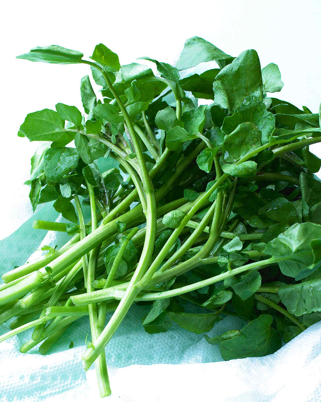 watercress recipes