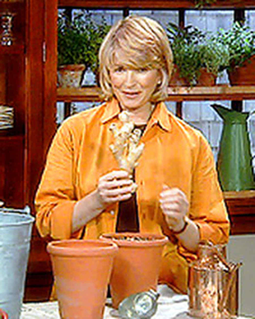 what-to-grow-in-your-balcony-vegetable-garden-martha-stewart